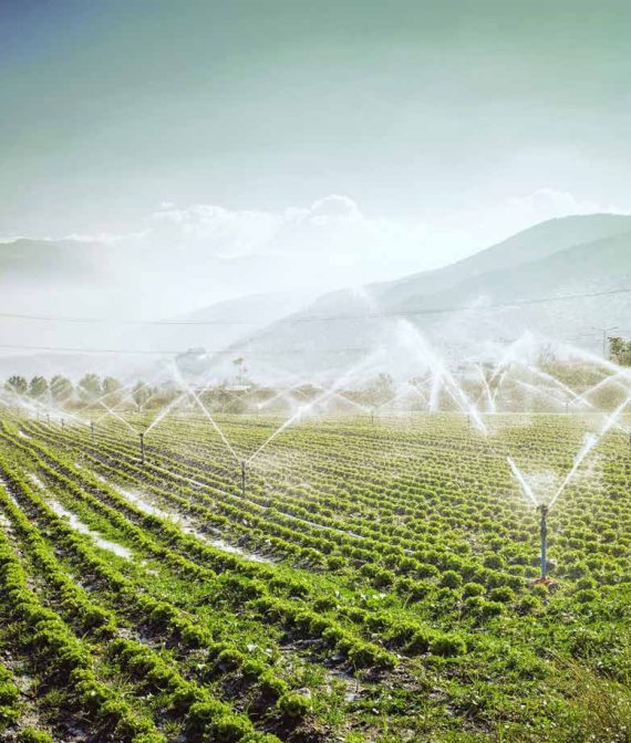 Agriculture and Groundwater_Page_01_Image_0001